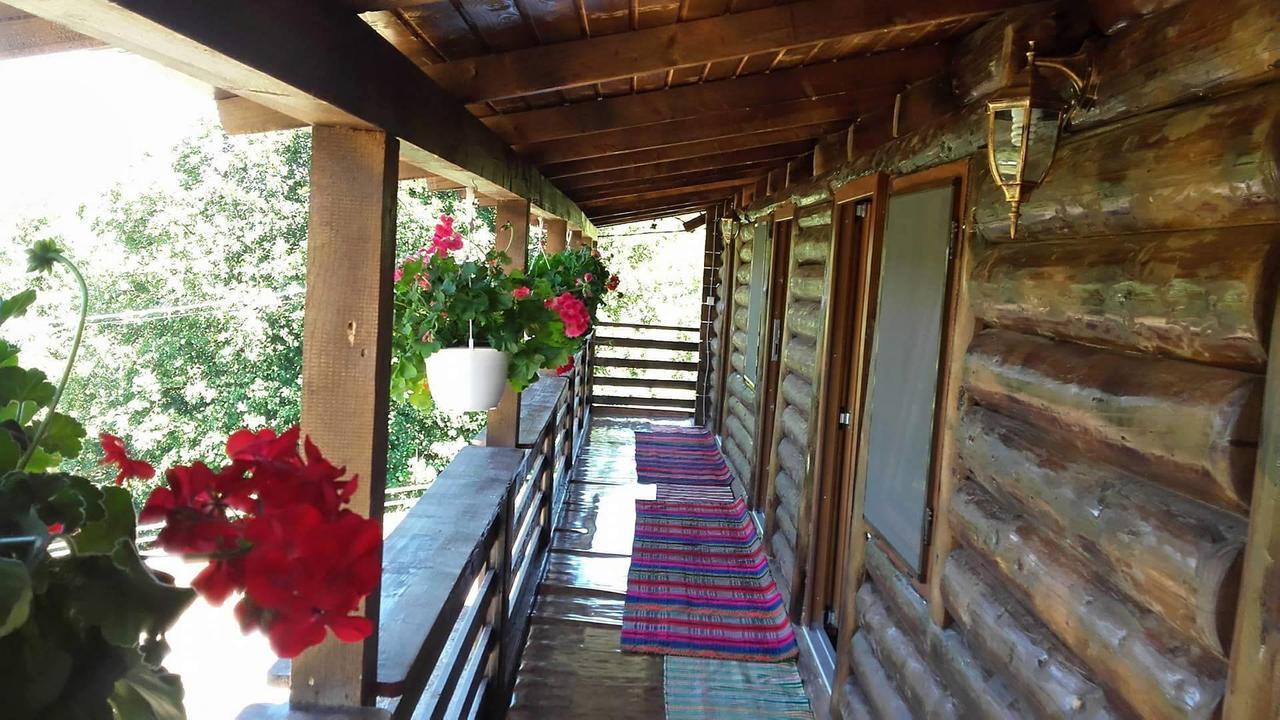 Floare De Maramures 2 Sighetu Marmatiei Exterior photo